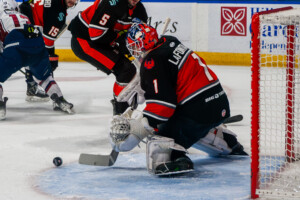 Kc Mavericks 48