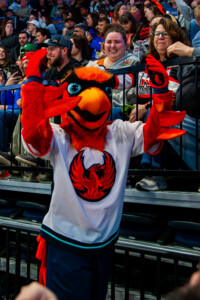 Kc Mavs V Utah Grizzlies 59