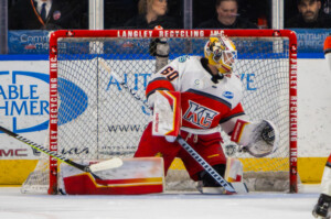 Kc Mavericks V Utah Grizzlies 13
