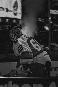 Kc Mavericks V Utah Grizzlies 05