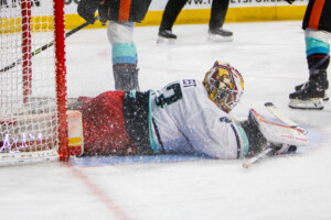 Kc Mavs V Utah Grizzlies 39