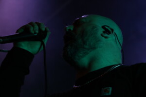Img 8778