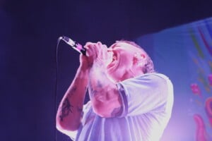 Img 8508