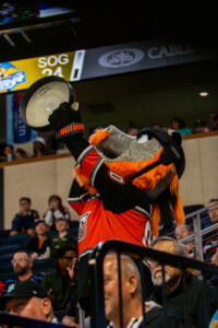 Kc Mavericks V Toledo Walleye 49
