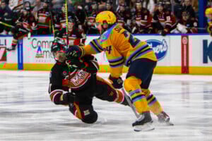 Kc Mavericks V Toledo Walleye 38