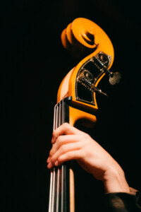 The Brudi Brothers Midland Theatre 17