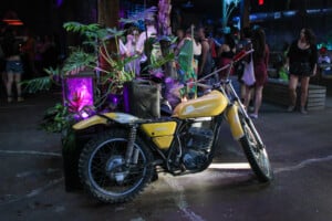 Cougar Club 2025 12