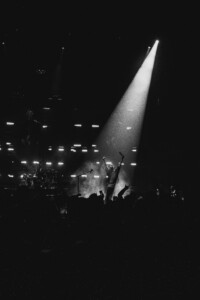 Shinedown 37