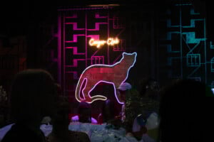 Cougar Club 2025 06