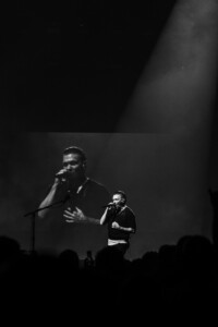 Shinedown 19