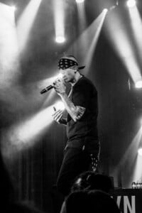 Lfo13