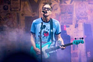 Blink 182 15