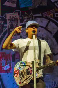 Blink 182 14