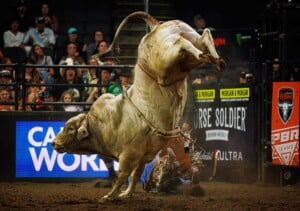 Pbr Kc Oct 6th 25 183
