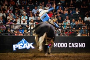Pbr Kc Oct 6th 25 195