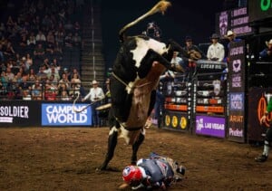 Pbr Kc Oct 6th 25 97