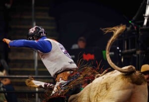 Pbr Kc Oct 6th 25 111