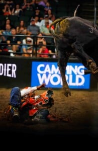 Pbr Kc Oct 6th 25 217