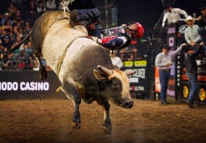 Pbr Kc Oct 6th 25 102