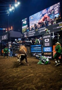 Pbr Kc Oct 6th 25 72