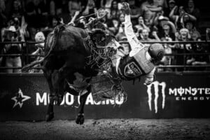 Pbr Kc Oct 6th 25 232