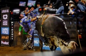 Pbr Kc Oct 6th 25 153