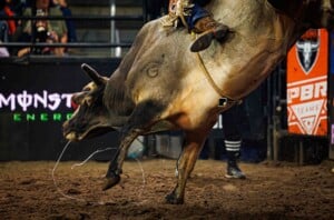 Pbr Kc Oct 6th 25 201