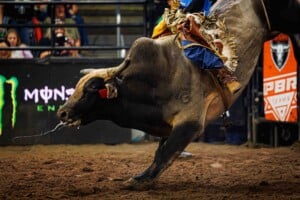Pbr Kc Oct 6th 25 200