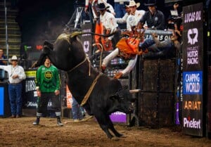 Pbr Kc Oct 6th 25 225