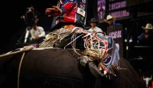 Pbr Kc Oct 6th 25 96