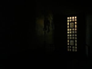 Img 6786