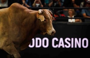 Pbr Kc Oct 6th 25 163