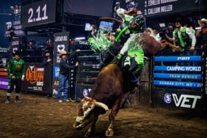 Pbr Kc Oct 6th 25 71