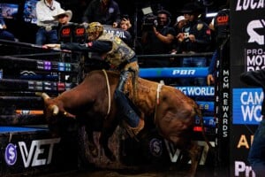 Pbr Kc Oct 6th 25 218