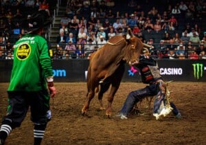 Pbr Kc Oct 6th 25 220
