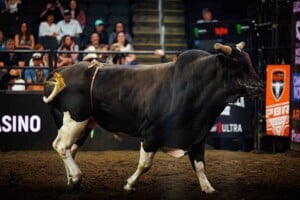 Pbr Kc Oct 6th 25 196