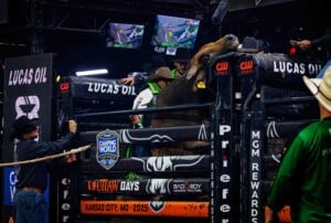 Pbr Kc Oct 6th 25 65