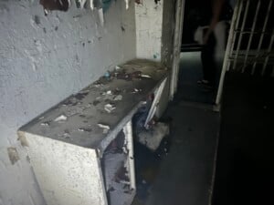 Img 6868 1