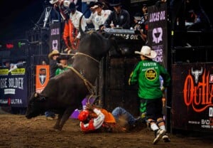 Pbr Kc Oct 6th 25 228