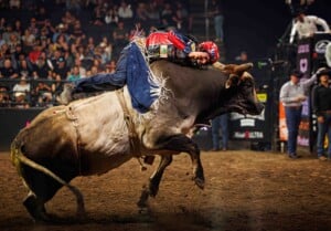 Pbr Kc Oct 6th 25 103