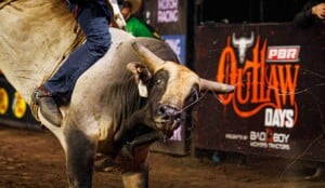 Pbr Kc Oct 6th 25 101