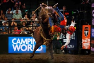 Pbr Kc Oct 6th 25 212