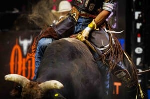 Pbr Kc Oct 6th 25 202
