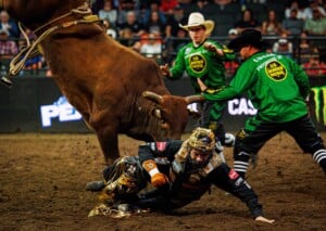 Pbr Kc Oct 6th 25 222