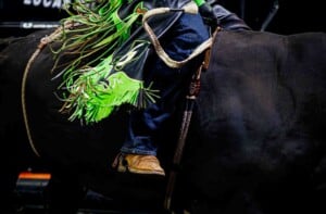 Pbr Kc Oct 6th 25 74