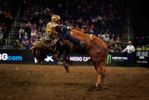 Pbr Kc Oct 6th 25 219