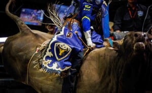 Pbr Kc Oct 6th 25 176
