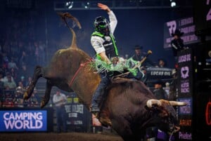 Pbr Kc Oct 6th 25 56