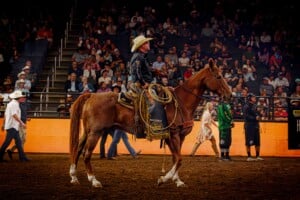 Pbr Kc Oct 6th 25 79
