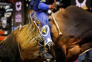 Pbr Kc Oct 6th 25 166